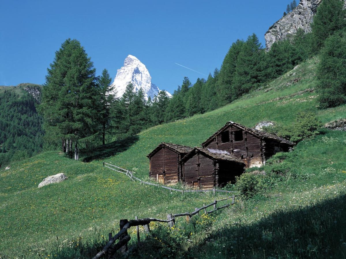 Apartment Sungold-1 By Interhome Zermatt Luaran gambar