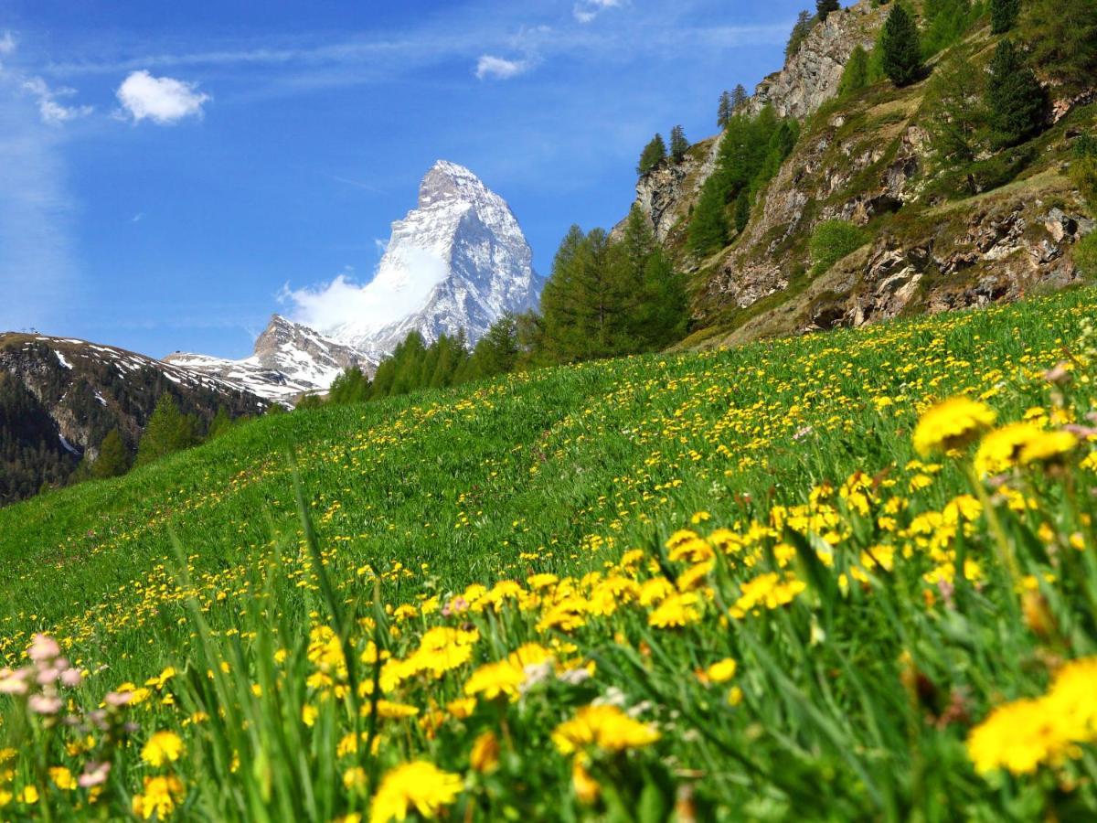 Apartment Sungold-1 By Interhome Zermatt Luaran gambar